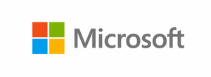 Microsoft partner logo